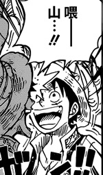 海贼王851话解析,海贼王831上下