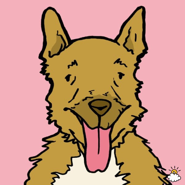 狗狗牙龈舌头发白是怎么回事,狗狗牙龈发炎吃甲硝唑吃几片