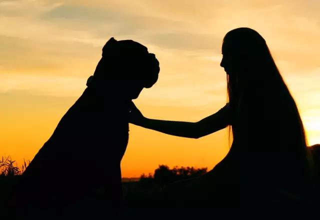 宠物可以治疗主人的疾病你知道么？