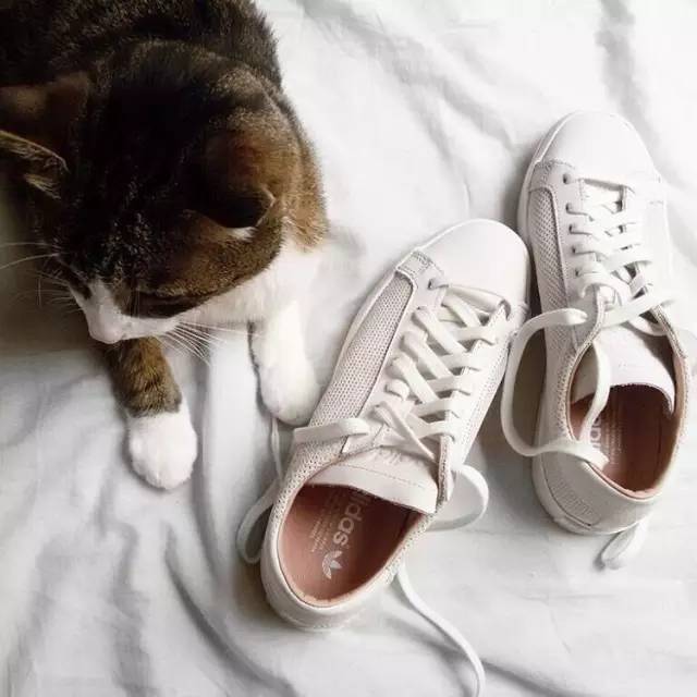 朴信惠喜欢穿什么鞋,朴信惠同款老爹鞋