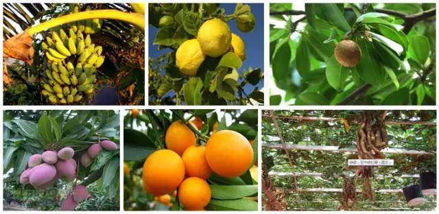 太原惊现史上最虐心的蝶萤文化节！爱我就带我去与蝶共舞、与萤作