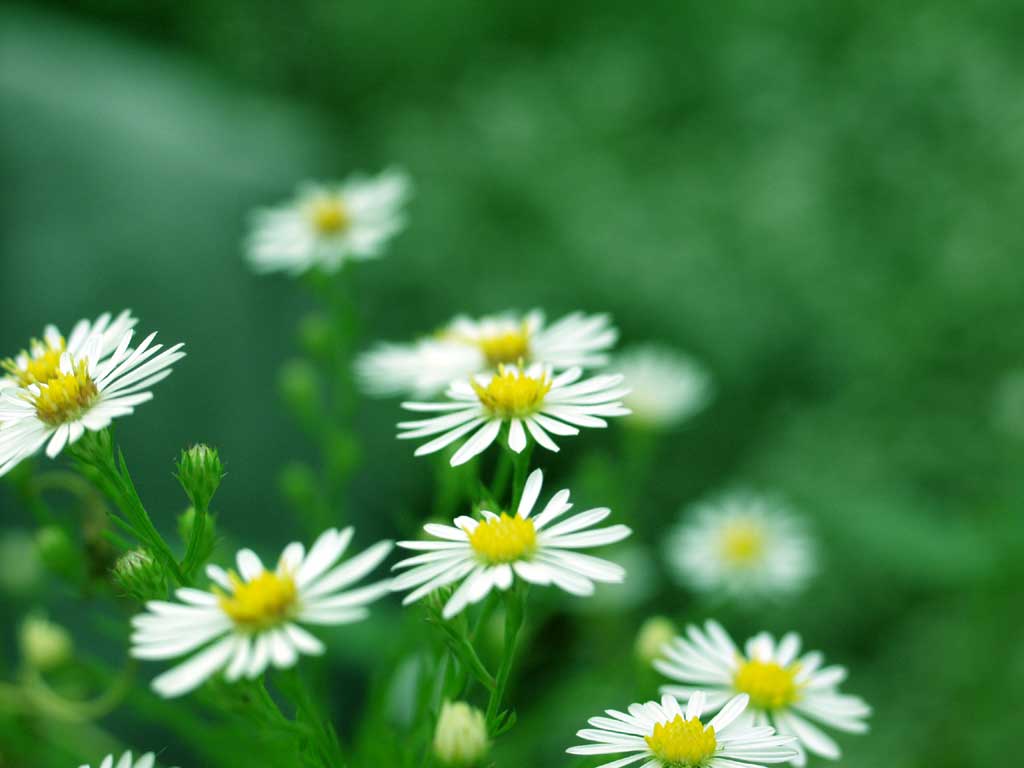 为什么一上火就有脚气,脚气到底是血热还是湿热下注