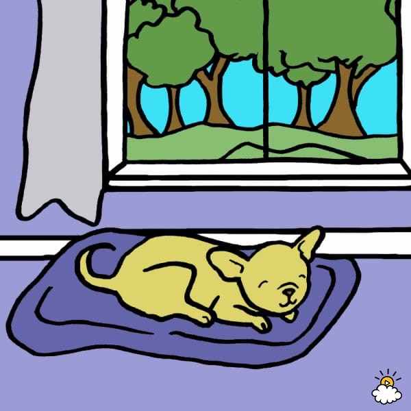 狗狗牙龈舌头发白是怎么回事,狗狗牙龈发炎吃甲硝唑吃几片