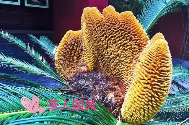 勉县昨晚新闻,今天勉县发生了什么事