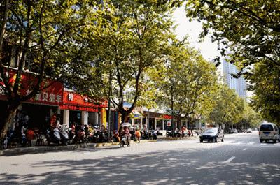 成都多地持续大到暴雨,成都强降雨