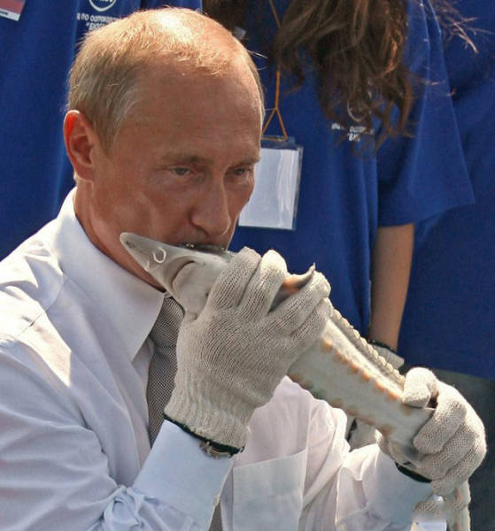 [囧图]大家都是装的，只有我是真正的咸鱼