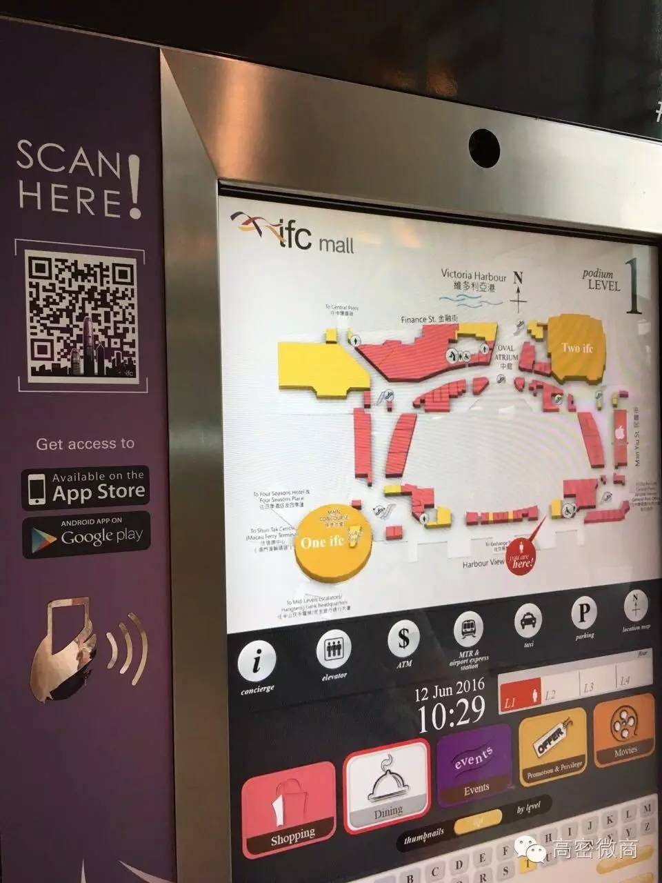 亲身体验｜香港自由行怎么吃喝玩乐游购娱？