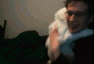 小猫咪做噩梦会出声吗,小猫咪不听话猫妈妈训它的声音