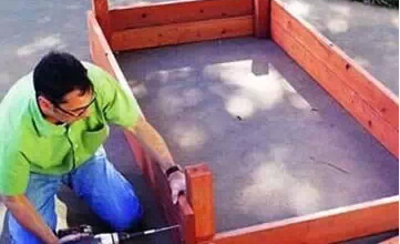 一米菜园风靡全球,一米菜园经营模式怎么样