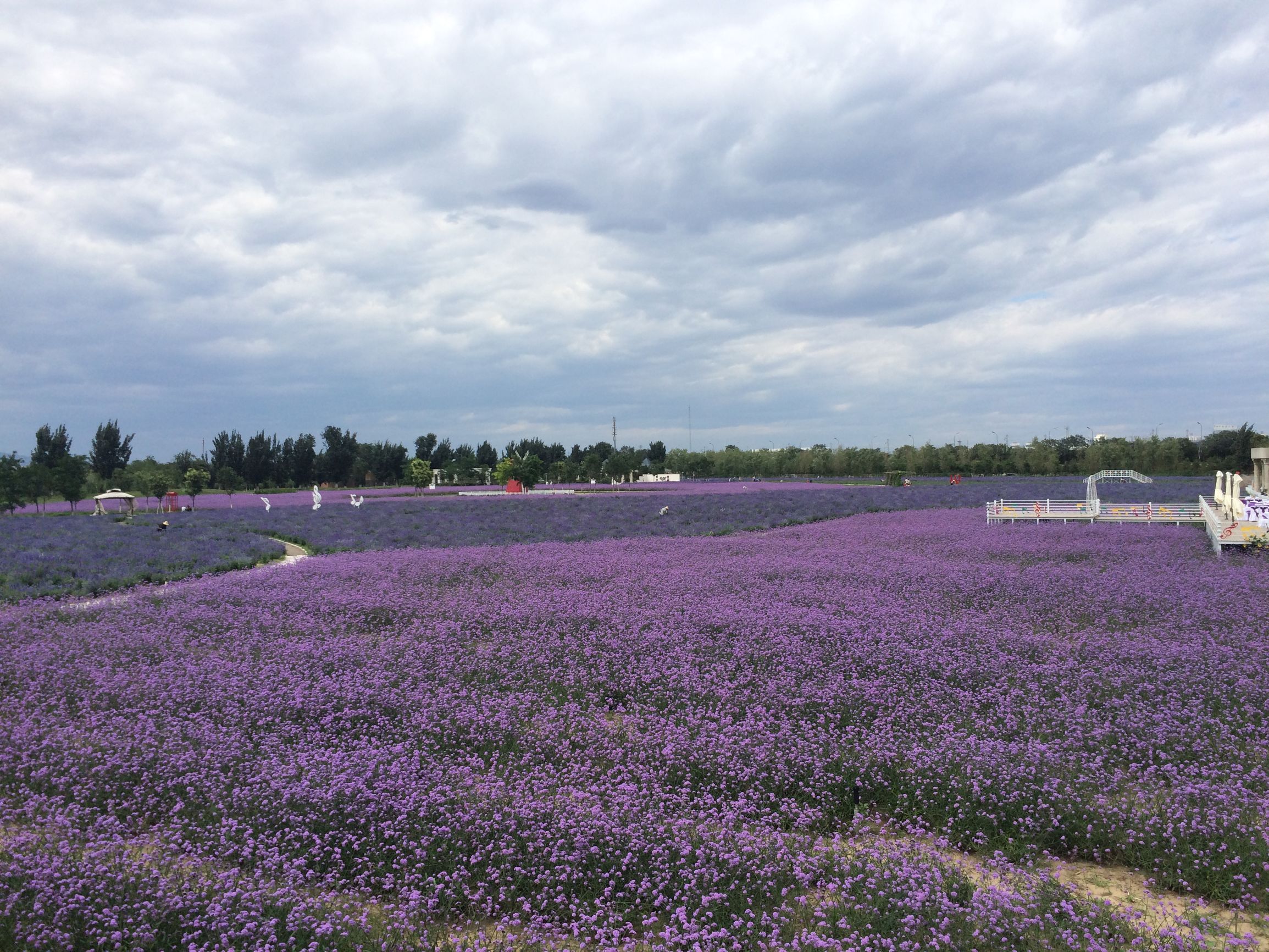 丰台暑假夏令营哪家好,今年暑假去哪儿玩