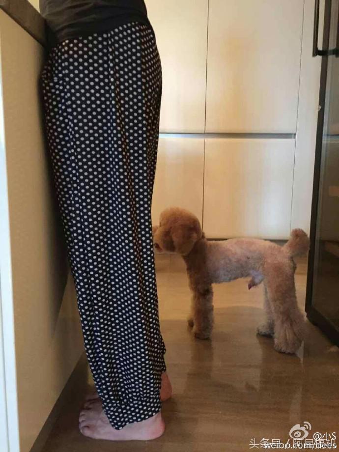 小s老司机开车,小s酒后直播哭诉