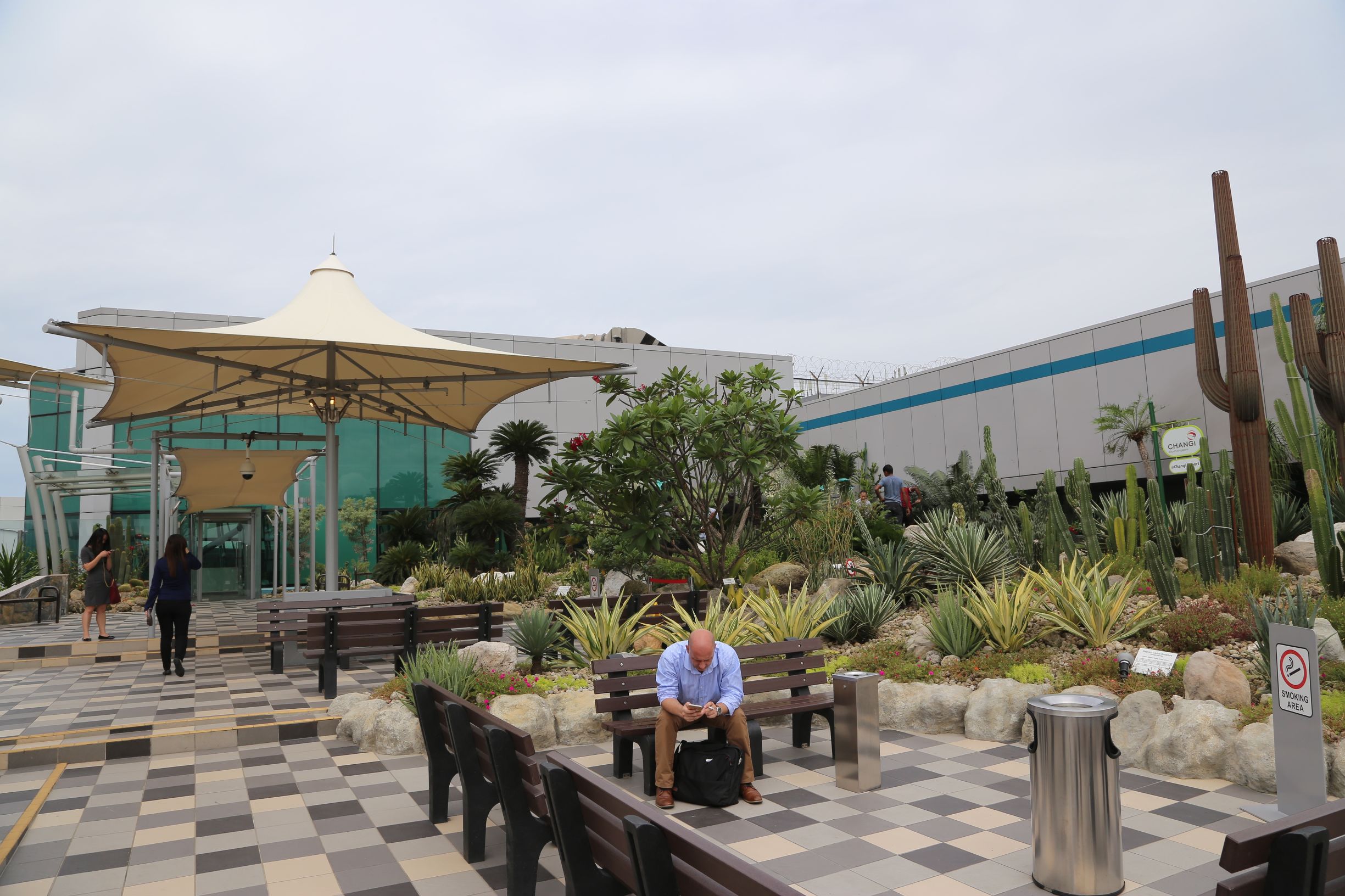 新加坡机场升级攻略超难,新加坡最牛机场