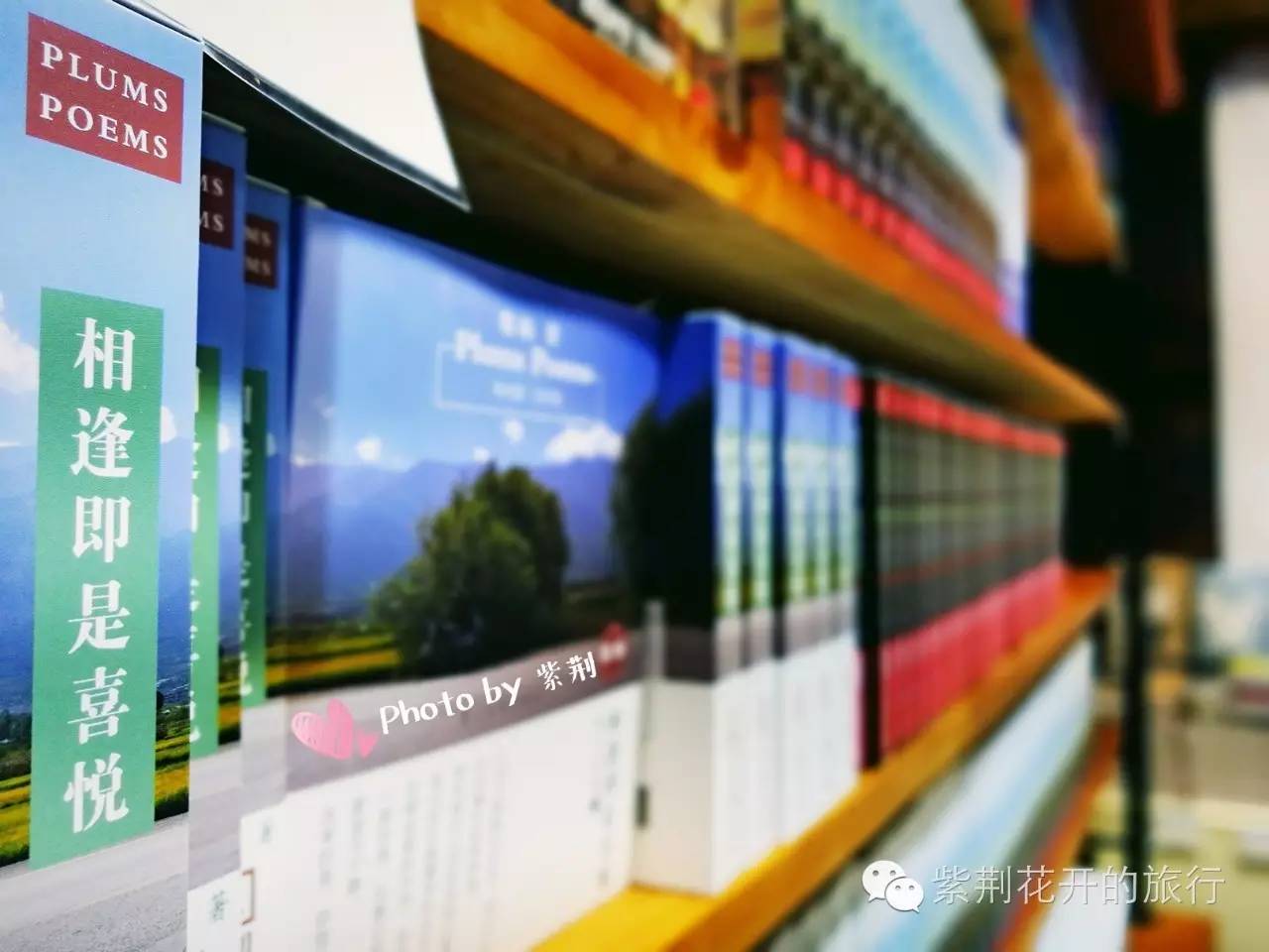 丽江飞越峡谷,丽江飞越