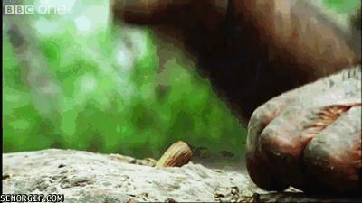 论工具人的用途,论男人的用处