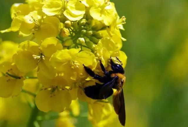 吃完这100种美食、看过这100种风景，可能再也离不开太仓！