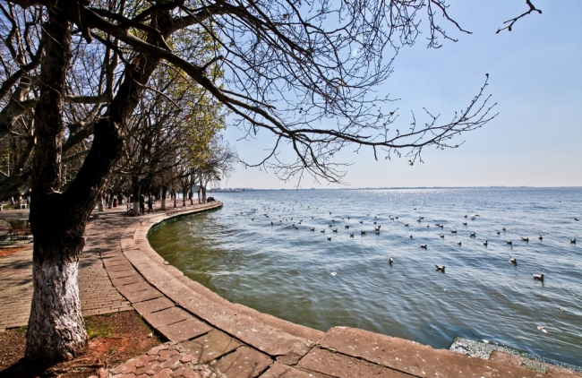 人文自驾国足主帅高洪波、前米卢都青睐的昆明海埂基地周边景观