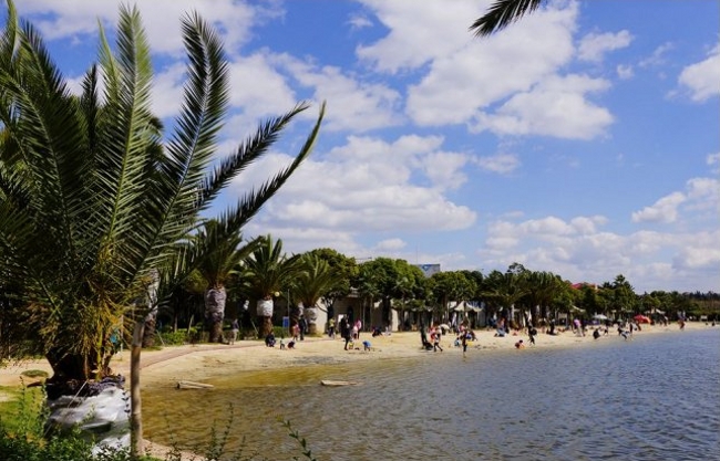 人文自驾国足主帅高洪波、前米卢都青睐的昆明海埂基地周边景观