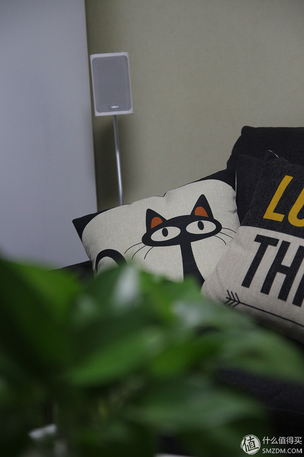 看欧洲杯的球迷,看爽