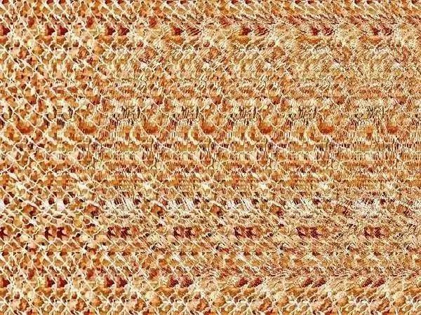 鏄垜鐪肩瀻浜嗗悧,鏄垜鐪肩瀻浜嗗悧鍥剧墖