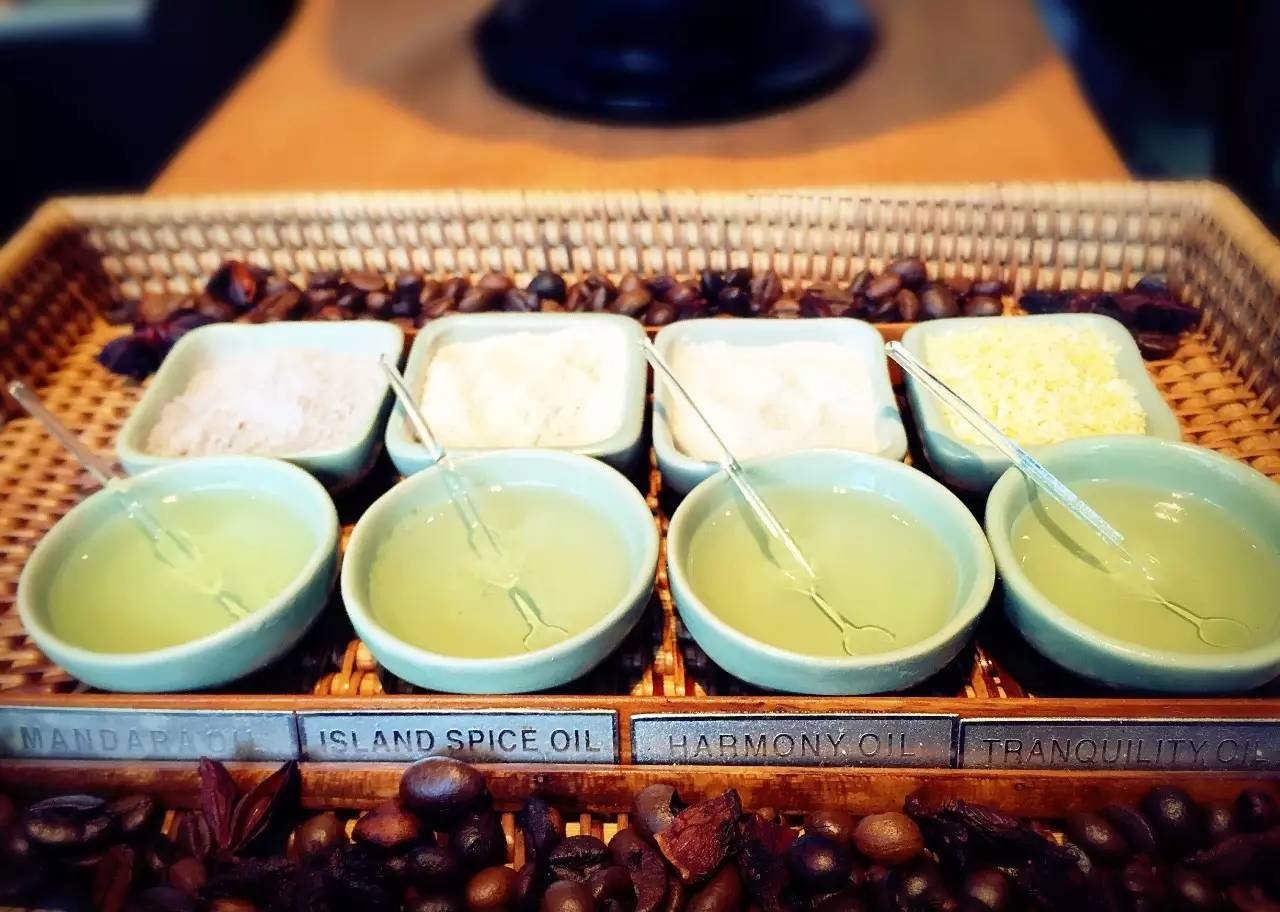 帕劳怎么玩,帕劳要准备什么