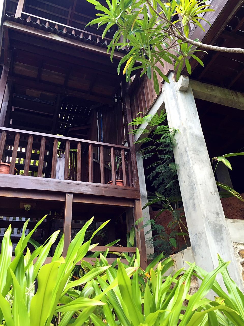 帕劳怎么玩,帕劳要准备什么