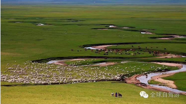 狼图腾草原旅游,大草原旅游攻略乌拉盖