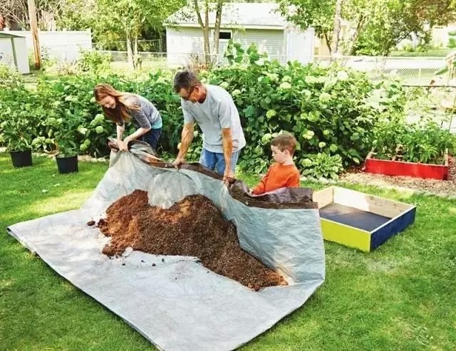 一米菜园风靡全球,一米菜园经营模式怎么样