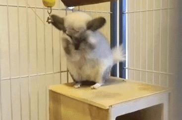 怎么不用手就能把足球给拿起来,打不过就把足球拿起来