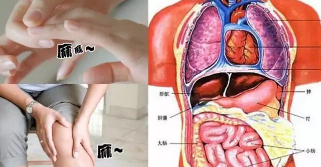 左手臂酸左脚痛应警惕的病,左手臂酸麻痛是大病前兆