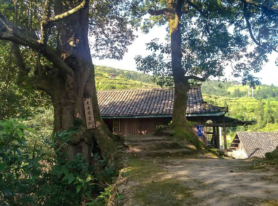 用文火煨制的美酒你听过见过尝过吗