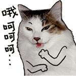 哪个牌子的韩妆套盒好,韩妆正品套盒