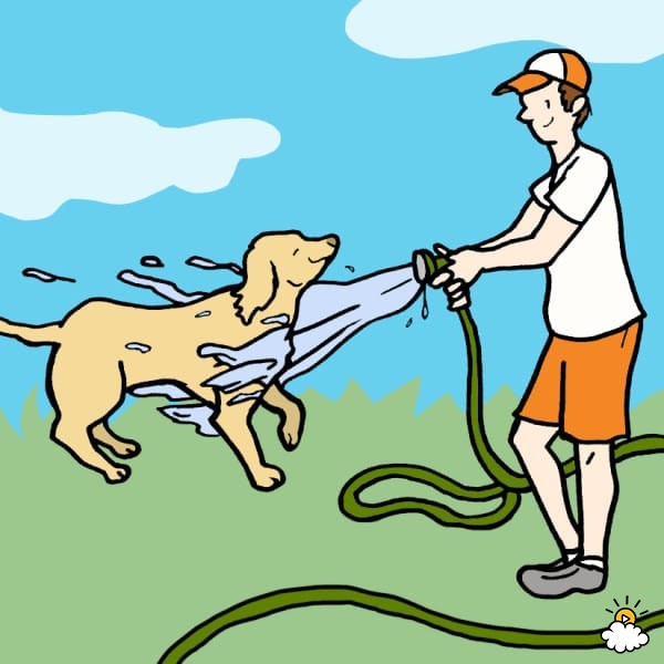 狗狗牙龈舌头发白是怎么回事,狗狗牙龈发炎吃甲硝唑吃几片