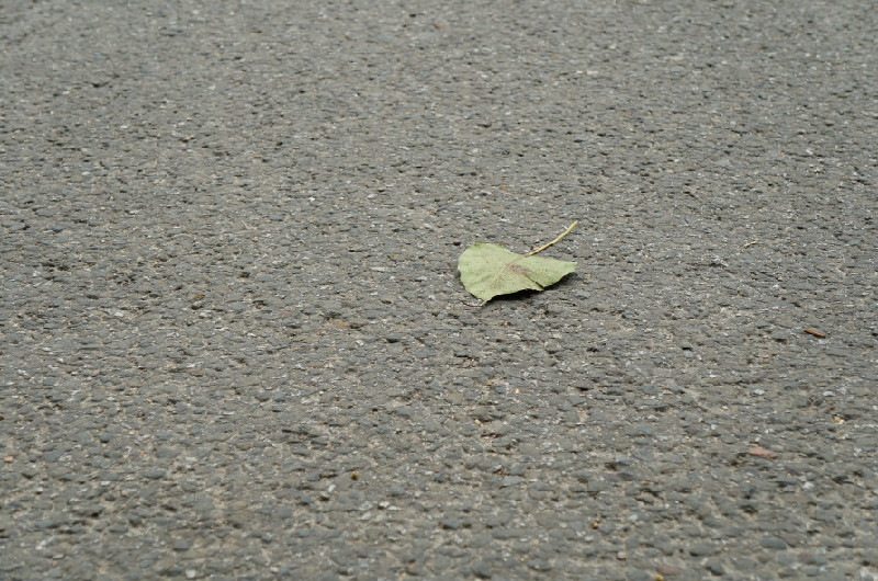 倍耐力新p1轮胎测评视频,倍耐力p1轮胎优缺点