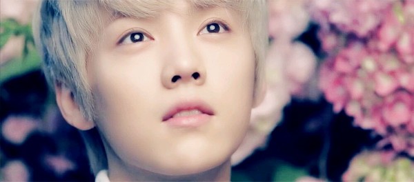 傻袍子一点也不傻，喜欢鹿晗的理由，新技能上线