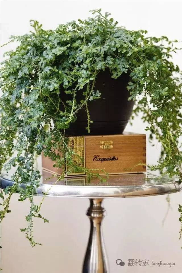 为什么年轻人不装美式风格了,一定要尝试美式风格