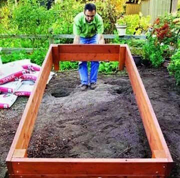 一米菜园风靡全球,一米菜园经营模式怎么样