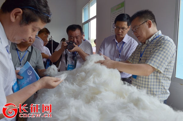 贵州普安长毛兔,黔西南普安县长毛兔