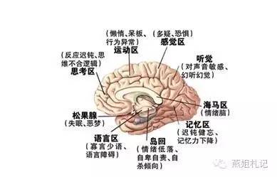 怎样开发幼儿右脑的潜能,开发小孩智力的方法