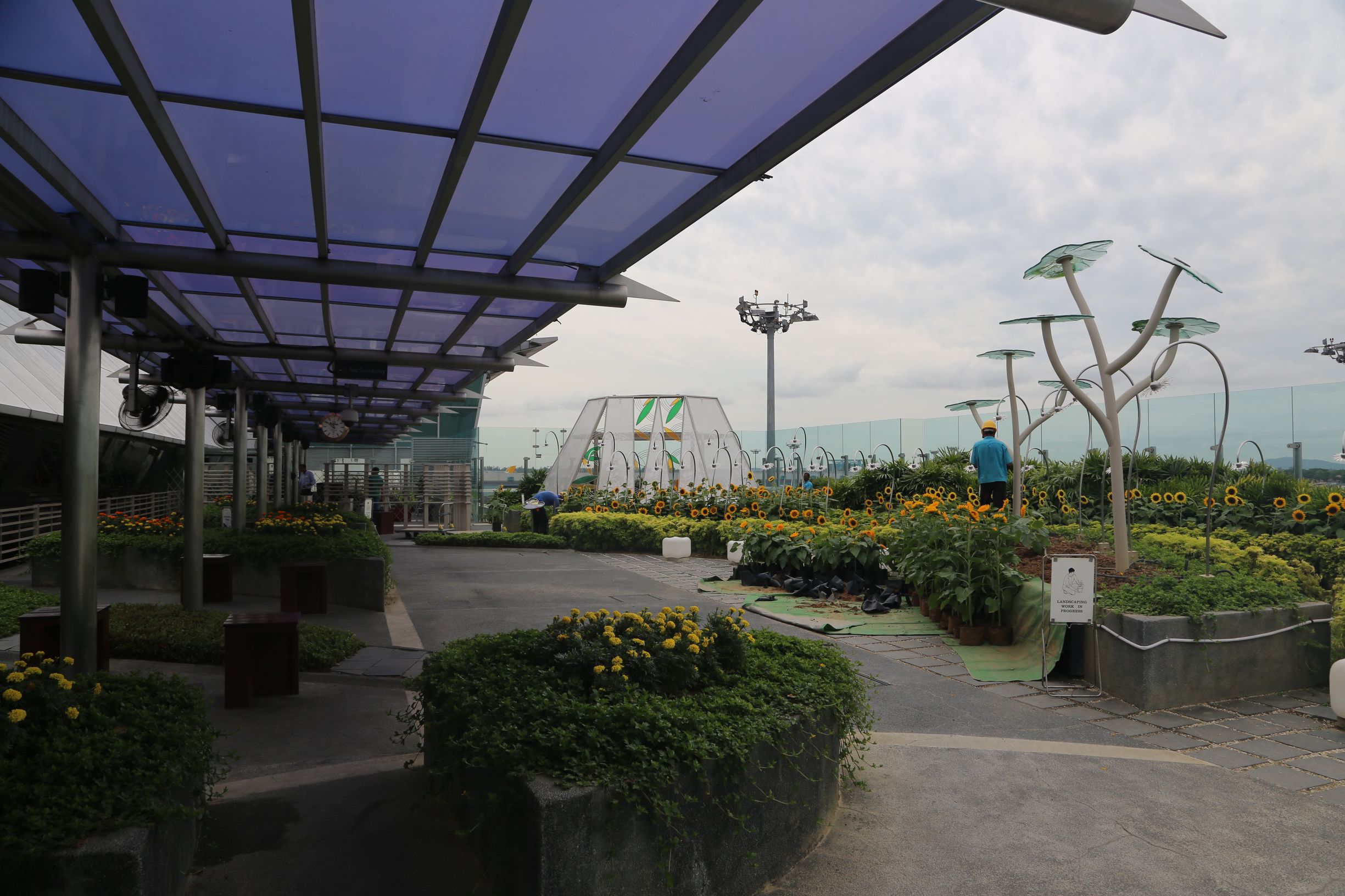 新加坡机场升级攻略超难,新加坡最牛机场