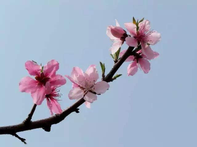 最快速的转运聚财法,聚财转运法事做了为什么没有效果