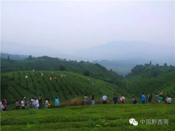 同步小康驻村工作纪实,同步走好乡村振兴之路