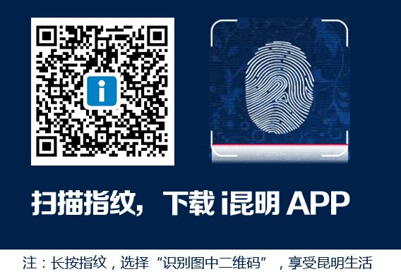 都市时报足球,都市时报足球赛