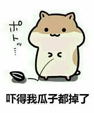 吃头孢千万不要喝酒,别吃头孢晚上喝酒什么梗