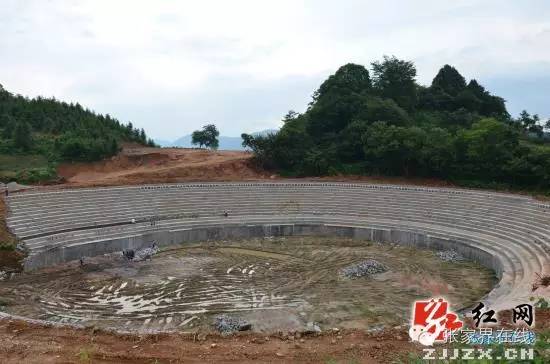 来我县考察调研乡村振兴,张家界永定区尚生龙