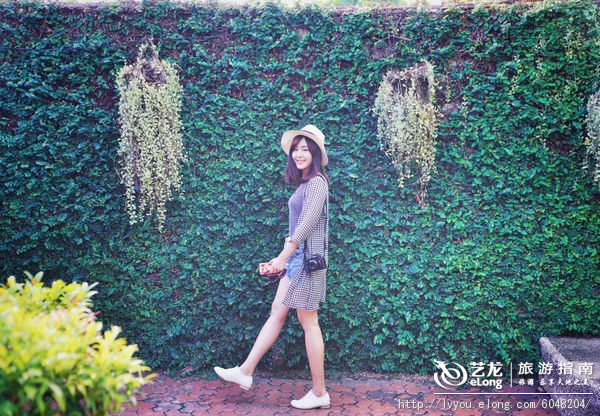 周若雪patty,周若雪清荷全文免费阅读