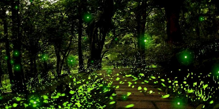 梅雨季应对攻略,拯救梅雨季