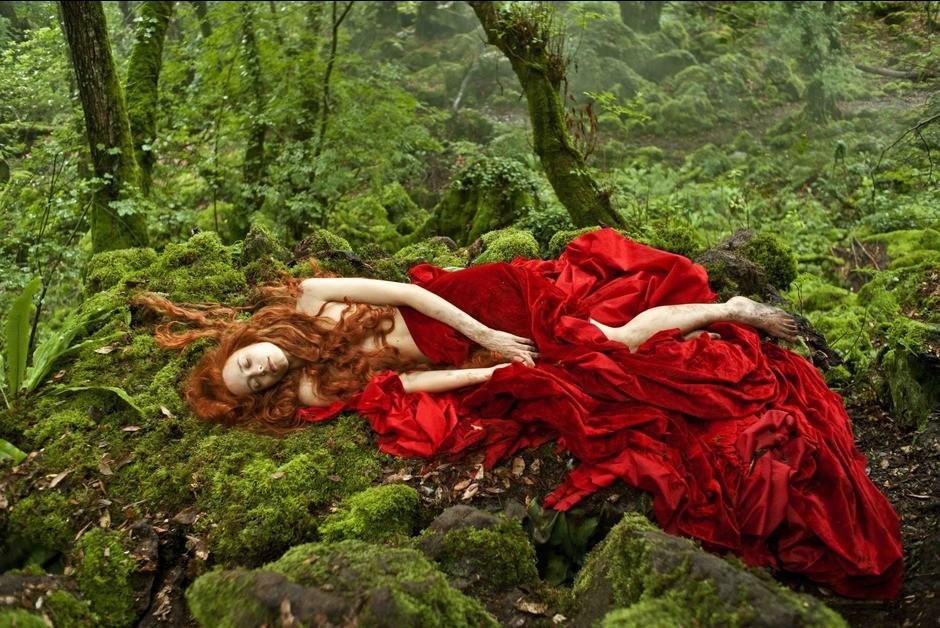 故事的故事电影影评,50年前的荒诞童话故事