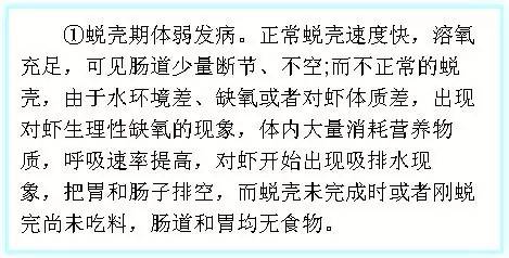南美白对虾空肠空胃图,怎么判断南美白对虾空肠空胃