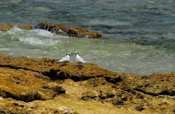 西沙群岛迷人的地方,边疆有个美丽的地方