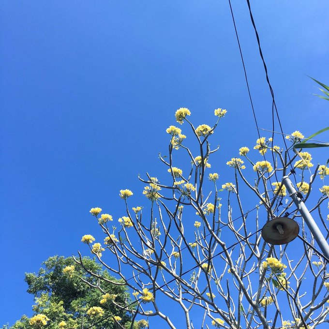 吉隆坡仙本那七日自由行攻略,巴厘岛6日全攻略